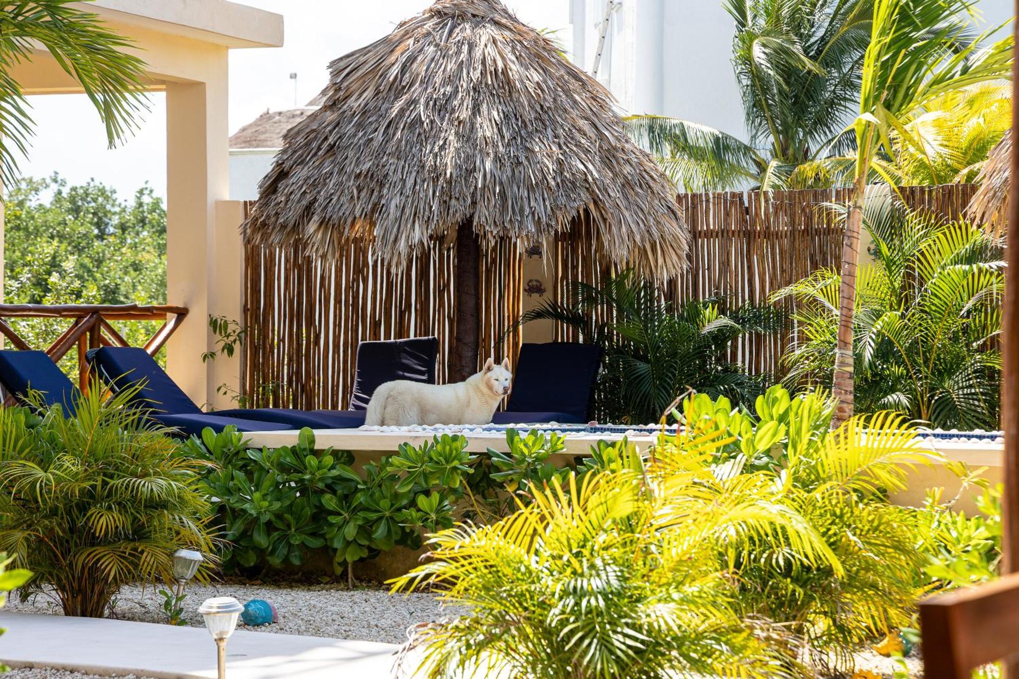 Atenea Holbox Buitenkant foto